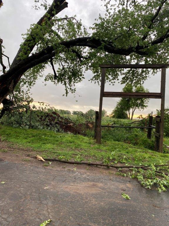 Event Summary June 8, 2022